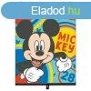 Disney Mickey Napvd Rol 1Db 36X45 Cm