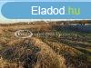 Kiad Egyb Veszprm