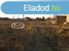 Kiad Egyb Veszprm