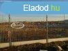 Kiad Egyb Veszprm