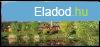 Elad horgszt, klub,  5,4 ha. ko birtokon.