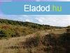 Zrtkert elad, BALATONALMDI - Balatonalmdi