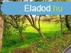 Elad 10 450m2-es ptsi telek, Demjn