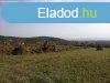 Telek elad gynyr balatoni panormval