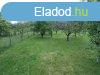 Elad 0ptsi telek, Budars