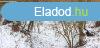 Elad telek Nemti, 	Nemti csendes rszn