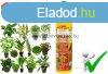 Sera Flore 2 Ferro Nvnytp 50Ml (003344)