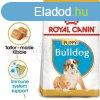 Royal Canin Bulldog Puppy 12 kg