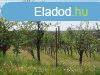 Elad 2 179m2-es Kert, gymlcss, Eger