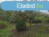 Elad 2 179m2-es Kert, gymlcss, Eger