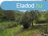 Elad 2 179m2-es Kert, gymlcss, Eger