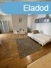 Elad laks Budapest, VI. kerlet, 	Paulay Ede utca