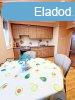 Elad laks Miskolc, 	Andrssy t