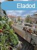 Elad Laks, Ppa 35.900.000 Ft