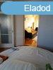 Elad 59 nm-es Feljtott Tglalaks Gyula