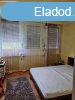 ELAD Cegldi 55 m2-es tgla laks