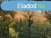 Elad 2740 nm-es Feljtott Tglalaks Kvgszls