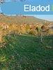 Elad 2740 nm-es Feljtott Tglalaks Kvgszls