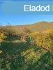 Elad 2740 nm-es Feljtott Tglalaks Kvgszls