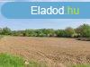 Elad 6000 nm-es Feljtott Tglalaks Taszr