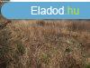 Elad 1000 nm-es Tglalaks Pcsudvard