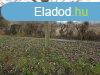 Elad 1000 nm-es Tglalaks Pcsudvard