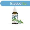 Stevia csepp 50ml