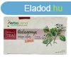 HERBATREND GALAG. VIR. GVG FILTERES