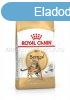 Royal Canin Bengal ADULT 400 g
