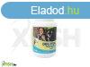 Dog Vital csonterst CA/P 1,3:1 120db