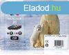 Epson T2616 (26) Multipack tintapatron