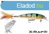 Rapala XR10 X-Rap 10cm 13g wobbler - P Sznben