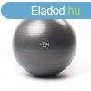 Fitness labda 65 cm - Bodhi