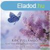Kvi Szabolcs - Kk pillang CD - Szab Sipos Barnabssal s
