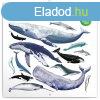 Falinaptr kpes lemeznaptr 300x300mm, Animalium Realsystem