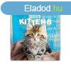 Falinaptr kpes lemeznaptr 300x300mm, Kittens Realsystem 2