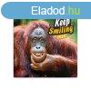 Falinaptr kpes lemeznaptr 300x300mm, Keep Smiling Realsys