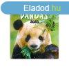 Falinaptr kpes lemeznaptr 300x300mm, Pandas Realsystem 20