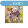 Falinaptr kpes lemeznaptr 300x300mm, Wild Africa Realsyst