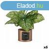 Dekor nvny Ibergarden Home Fm Manyag Fmdoboz 26 x 26 x 