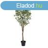 Dekor nvny 80 x 75 x 173 cm Zld PVC Eukaliptusz MOST 1303