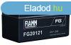 FIAMM - FG20121