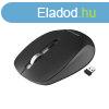 Astrum MW230 2.4GHz vezetk nlkli 1600DPI optikai egr fek