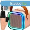 Mini bluetooth karaoke kszlet 2 mikrofonnal - rzsaszn