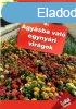 Otthonunk nvnyei 8. - gysba val egynyri virgok