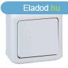Legrand Forix 106 vltkapcsol falon kvli IP44 szrke