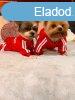 PetGear Palace Online Webruhz