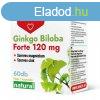 DR Herz Ginkgo Biloba Forte 120 mg + Szerves Mg+Zn 60 db kap