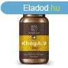 Myrobalan KhogA.9 gyomorgs, reflux elleni gygynvny-komp