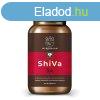 Myrobalan shiva vrnyomscskkent gygynvny-komplex vegn